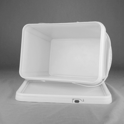 De Rechthoekige Plastic Verpakkende Trommel van de voedselrang 20kg met Deksel en Dubbele Handvatten